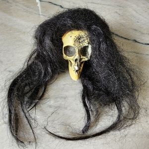 Disney's Haunted Mansion souvenir "Ivan the Hairy One" Glow in the Dark Skull